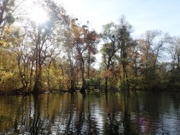 November 2025 - Wintersdorf